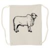 Canvas Drawstring Backpack Thumbnail