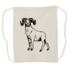 Canvas Drawstring Backpack Thumbnail