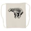 Canvas Drawstring Backpack Thumbnail