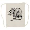 Canvas Drawstring Backpack Thumbnail